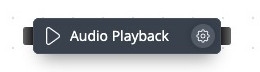 playback module
